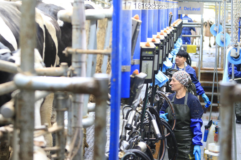 Dự án sữa của Tập đoàn TH tại Nga đã tạo cơ hội việc làm cho nhiều người dân địa phương. Dự án sữa của Tập đoàn TH tại Nga đã tạo cơ hội việc làm cho nhiều người dân địa phương.