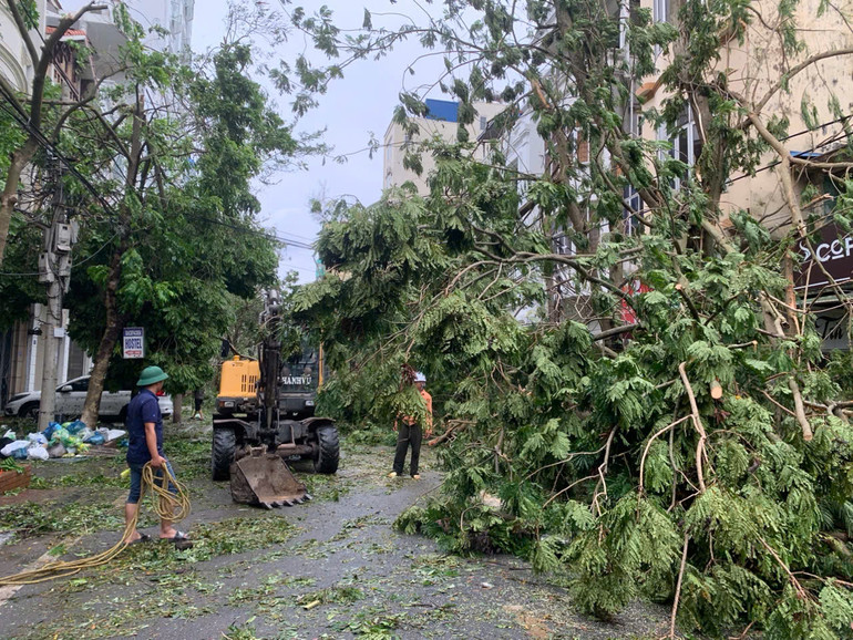 Các lực lượng khẩn trương thu dọn cây đổ trên đường phố Hải Phòng. (Ảnh: Ngô Quang Dũng) Các lực lượng khẩn trương thu dọn cây đổ trên đường phố Hải Phòng. (Ảnh: Ngô Quang Dũng)