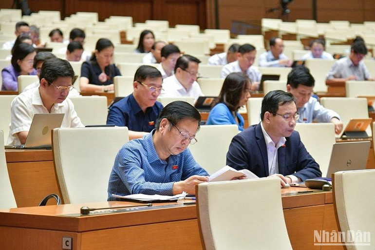 Các đại biểu Quốc hội dự phiên họp. (Ảnh: DUY LINH)