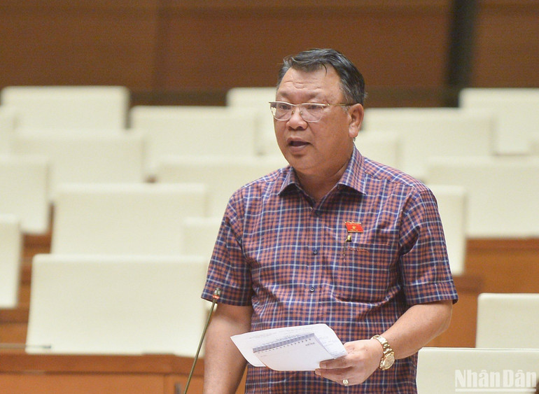 Đại biểu Nguyễn Tạo tham gia ý kiến thảo luận tại phiên họp. (Ảnh: DUY LINH)