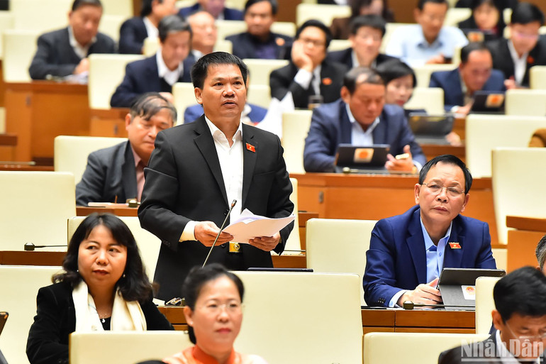 Đại biểu Quốc hội Dương Khắc Mai nêu bật vai trò, tầm quan trọng của Nghị quyết 30. (Ảnh: THỦY NGUYÊN)