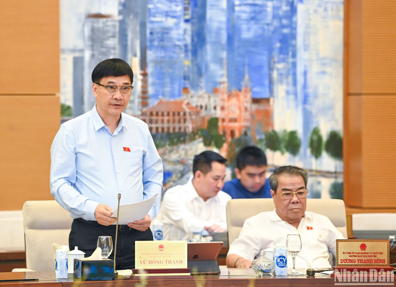 Chủ nhiệm Ủy ban Kinh tế của Quốc hội Vũ Hồng Thanh trình bày báo cáo thẩm tra. (Ảnh: DUY LINH)