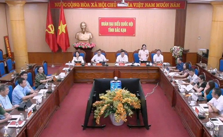 Đại biểu Hồ Thị Kim Ngân (đoàn Bắc Kạn) đặt câu hỏi chất vấn.