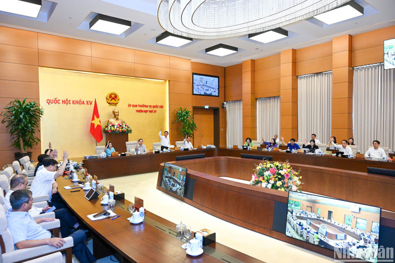 Tại phiên họp, 100% thành viên Ủy ban Thường vụ Quốc hội đã biểu quyết thông qua về nguyên tắc với các vấn đề thuộc thẩm quyền của Ủy ban Thường vụ Quốc hội. (Ảnh: DUY LINH)