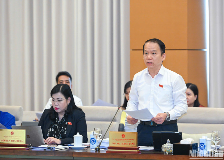 Chủ nhiệm Ủy ban Pháp luật Hoàng Thanh Tùng trình bày báo cáo thẩm tra. (Ảnh: DUY LINH)