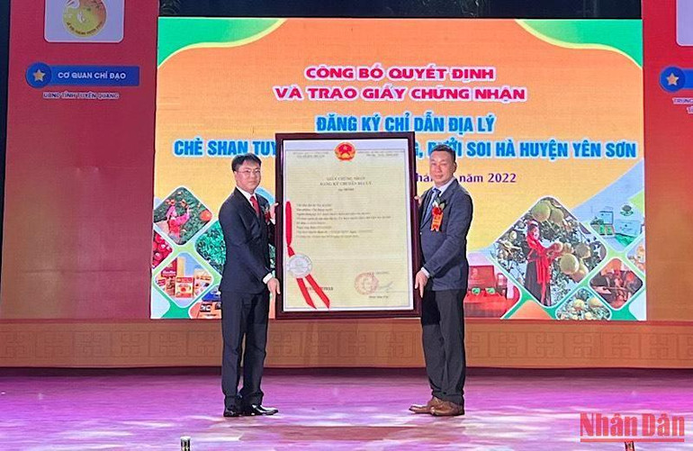 Lãnh đạo Cục Sở hữu trí tuệ trao Quyết định chỉ dẫn địa lý Chè Shan Tuyết Na Hang và Bưởi Soi Hà Yên Sơn.