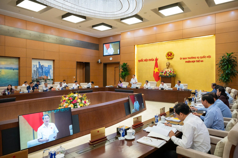 Quang cảnh phiên họp. (Ảnh: ĐĂNG ANH)