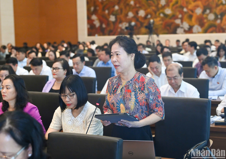 Đại biểu Tô Ái Vang (đoàn Sóc Trăng) phát biểu ý kiến. (Ảnh: DUY LINH)