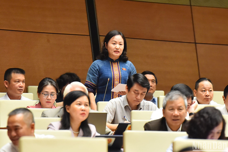 Đại biểu Phạm Thúy Chinh (đoàn Hà Giang) phát biểu ý kiến. (Ảnh: THỦY NGUYÊN)