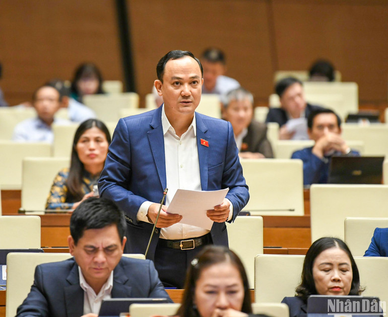 Đại biểu Quốc hội tham gia ý kiến thảo luận về dự án Luật Đường bộ sáng 24/11. (Ảnh: DUY LINH)