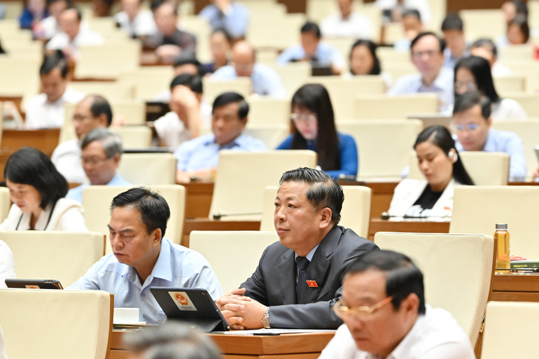 Các đại biểu Quốc hội dự phiên họp ở hội trường sáng 19/5. (Ảnh: THỦY NGUYÊN) Các đại biểu Quốc hội dự phiên họp ở hội trường sáng 19/5. (Ảnh: THỦY NGUYÊN)