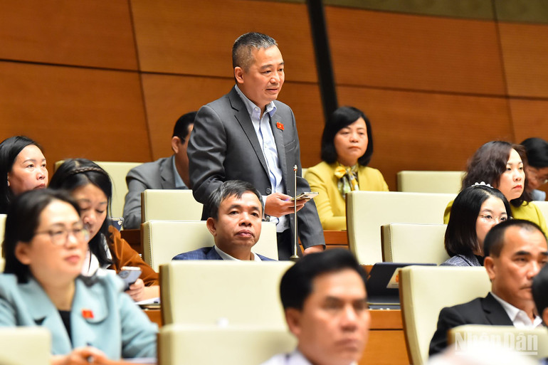 Đại biểu Nguyễn Lân Hiếu - Đoàn đại biểu Quốc hội tỉnh Bình Định tham gia ý kiến thảo luận tại hội trường.
