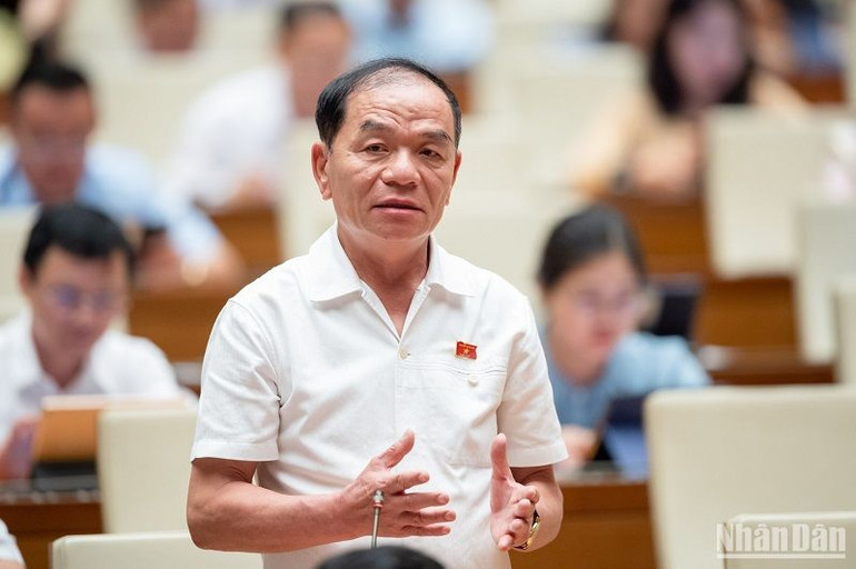 Đại biểu Lê Thanh Vân phát biểu ý kiến. (Ảnh: ĐĂNG KHOA)