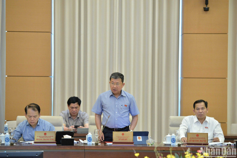 Chủ nhiệm Ủy ban Đối ngoại của Quốc hội Vũ Hải Hà phát biểu ý kiến. (Ảnh: DUY LINH) Chủ nhiệm Ủy ban Đối ngoại của Quốc hội Vũ Hải Hà phát biểu ý kiến. (Ảnh: DUY LINH)