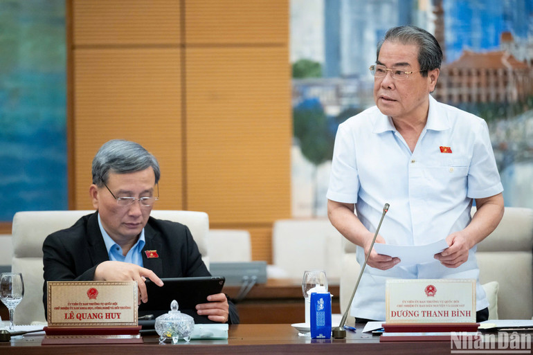 Chủ nhiệm Ủy ban Dân nguyện và Giám sát của Quốc hội Dương Thanh Bình báo cáo tại phiên họp. (Ảnh: DUY LINH)