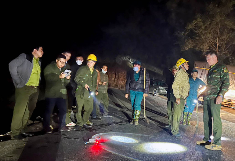 Hơn 30 người được huy động để khống chế đám cháy phát sinh tại cánh rừng thông khu vực đèo Prenn-Đà Lạt.