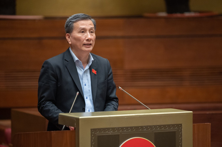 Chủ nhiệm Ủy ban Khoa học, Công nghệ và Môi trường Lê Quang Huy phát biểu tại phiên họp. (Ảnh: DUY LINH)