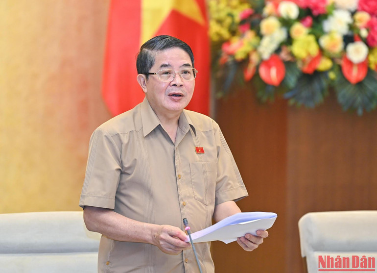 Phó Chủ tịch Quốc hội Nguyễn Đức Hải phát biểu tại phiên họp.