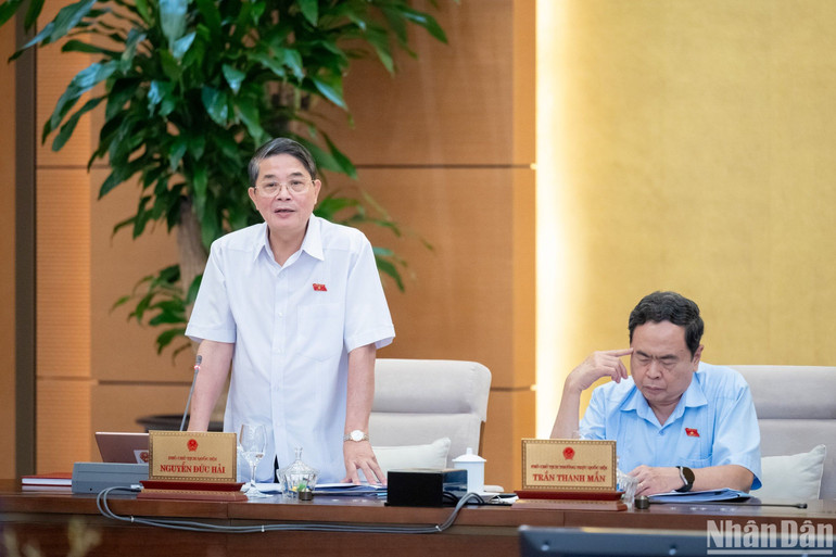 Phó Chủ tịch Quốc hội Nguyễn Đức Hải phát biểu tại phiên họp. (Ảnh: DUY LINH)