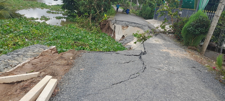 Sạt lở ở xã Cẩm Sơn, huyện Cai Lậy (Tiền Giang) chia cắt tuyến giao thông nông thôn.