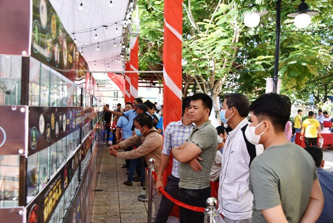 Người dân thành phố Mỹ Tho (Tiền Giang) đam mê cá cảnh đến tham quan.