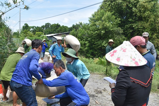 Bà Phạm Thị Kim Hằng, ấp Mỹ Phú 2, xã Hậu Mỹ Bắc A, huyện Cái Bè bán lúa cho thương lái.