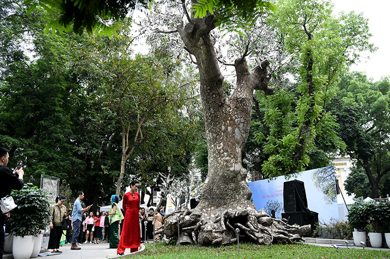 Tác phẩm “Hồi sinh”.