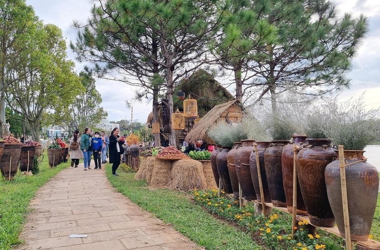 Những chiếc ché của văn hóa rượu cần Tây Nguyên.