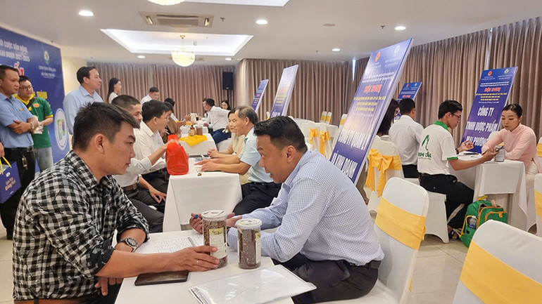 Các doanh nghiệp tư vấn, ký kết sản phẩm cung ứng.