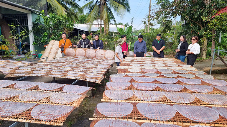 Khách tham quan và trải nghiệm tại làng nghề bánh tráng Cù Lao Mây, huyện Trà Ôn, tỉnh Vĩnh Long.