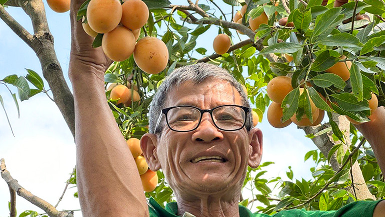 Thanh trà cũng là một sản phẩm du lịch độc đáo của thị xã Bình Minh.