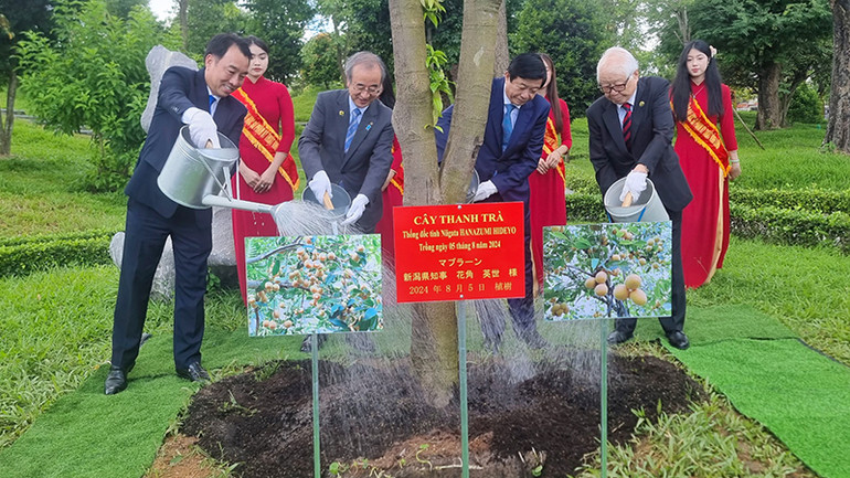 Lãnh đạo tỉnh Niigata trồng cây lưu niệm tại tỉnh Vĩnh Long. Lãnh đạo tỉnh Niigata trồng cây lưu niệm tại tỉnh Vĩnh Long.