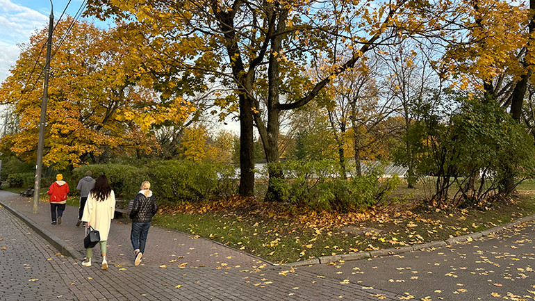 Người dân thư thả tận hưởng không khí mùa thu trong các công viên của thành phố.