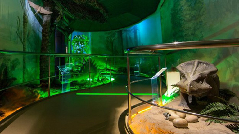 Ảnh tư liệu của bảo tàng.