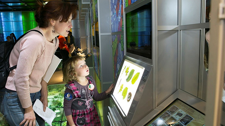 Bảo tàng hấp dẫn không chỉ trẻ em mà còn cả bố mẹ của các em. (Ảnh: Bảo tàng cung cấp)