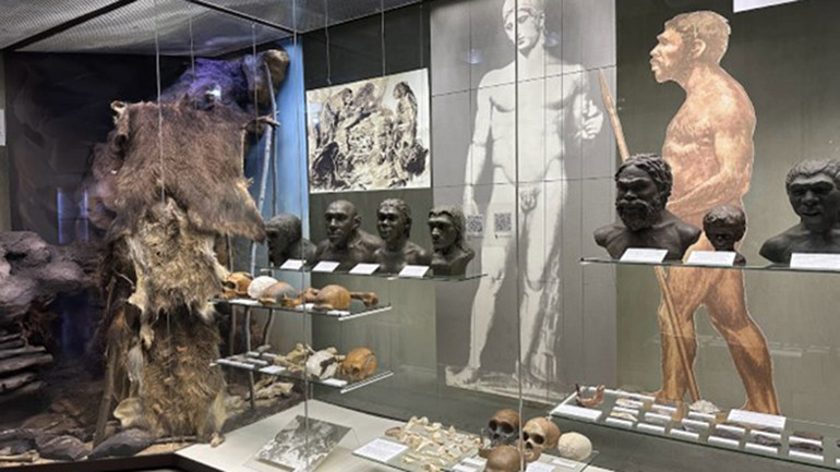 Các mô hình tiến hóa của loài người. (Ảnh: Thùy Vân)