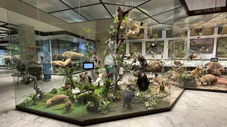 Các loài động vật trong sách đen. (Ảnh: Thùy Vân)