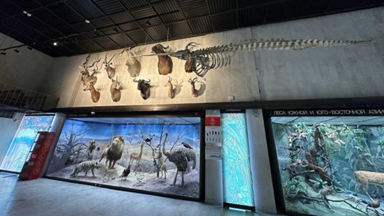 Hiện vật trưng bày tại bảo tàng. (Ảnh: Thùy Vân)