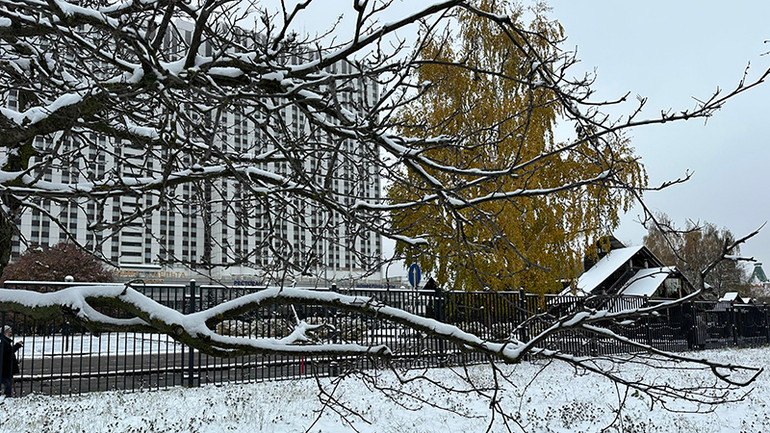 Tuyết phủ trắng lên vạn vật.