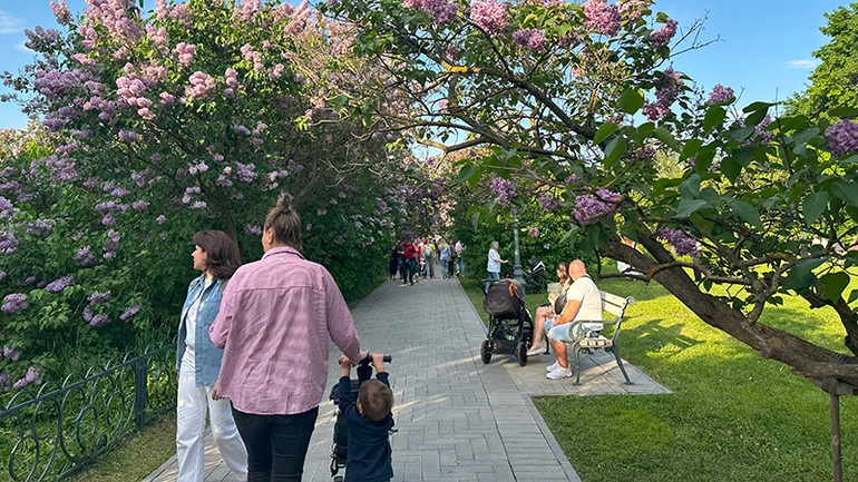 Khu vườn có lối đi quy hoạch đẹp. Khu vườn có lối đi quy hoạch đẹp.