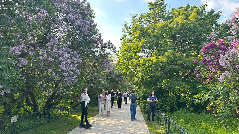 Những ngày này, người dân Moskva tìm đến khu vườn để tận hưởng hương thơm và vẻ đẹp các loài hoa siren nơi đây. Những ngày này, người dân Moskva tìm đến khu vườn để tận hưởng hương thơm và vẻ đẹp các loài hoa siren nơi đây.