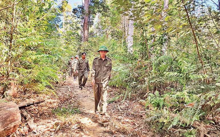 Công nhân Công ty TNHH MTV Lâm nghiệp Đăk Tô, tỉnh Kon Tum tuần tra phòng cháy, chữa cháy rừng.
