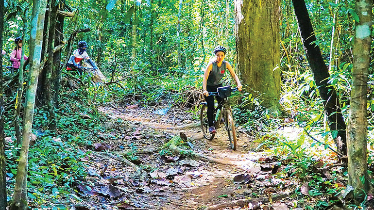 Du khách đạp xe dưới tán rừng Mã Đà, Đồng Nai.Ảnh: Cào Cào Adventures
