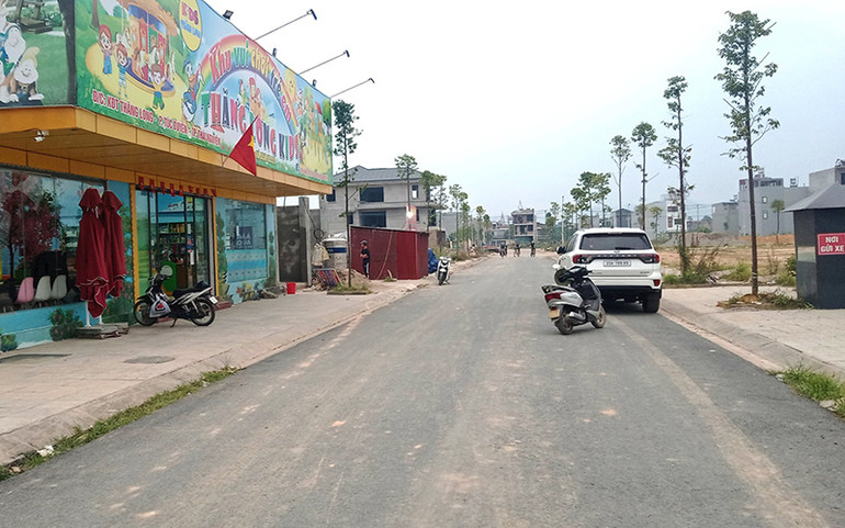 Cây xanh tại khu đô thị Thăng Long, thành phố Thái Nguyên được trồng đúng chủng loại, quy cách nên phát triển tốt.