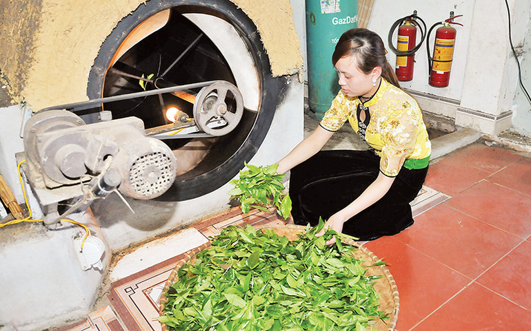 Công đoạn sấy trà. Công đoạn sấy trà.