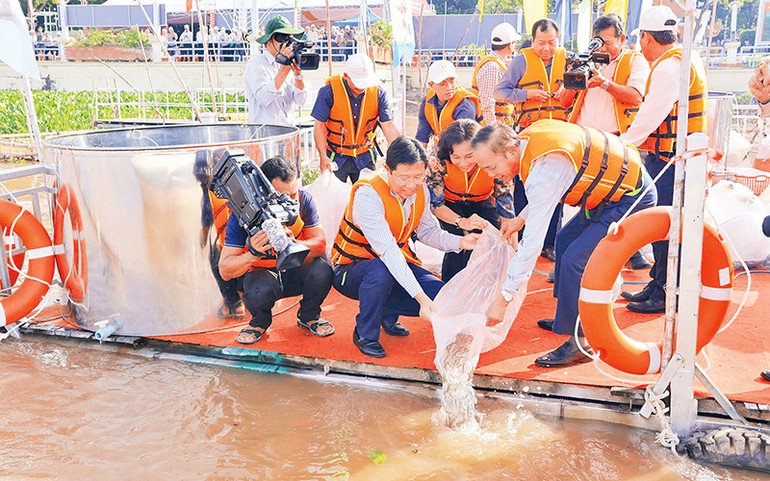 Các đại biểu tham gia thả cá giống xuống sông Tiền tại thành phố Hồng Ngự, tỉnh Đồng Tháp.