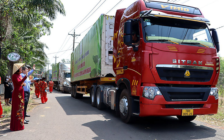 Lô hàng chuối tươi của tỉnh Đồng Nai xuất khẩu sang thị trường Trung Quốc đầu năm 2023.