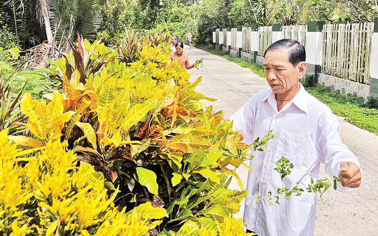 Người dân tham gia “Ngày chủ nhật nông thôn mới” tại xã Tân Thanh Tây, huyện Mỏ Cày Bắc. Người dân tham gia “Ngày chủ nhật nông thôn mới” tại xã Tân Thanh Tây, huyện Mỏ Cày Bắc.