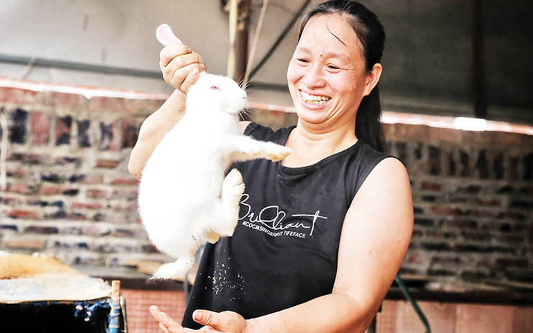 Niềm vui của chị Mẫn Thị Thắm, thôn Sơn Quả 1, nhờ nguồn vốn ưu đãi để đầu tư nuôi thỏ, mang lại thu nhập khá cho gia đình. Niềm vui của chị Mẫn Thị Thắm, thôn Sơn Quả 1, nhờ nguồn vốn ưu đãi để đầu tư nuôi thỏ, mang lại thu nhập khá cho gia đình.