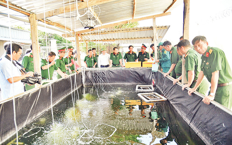 Tham quan mô hình nuôi cá chạch lấu trong khu tăng gia sản xuất tập trung.
